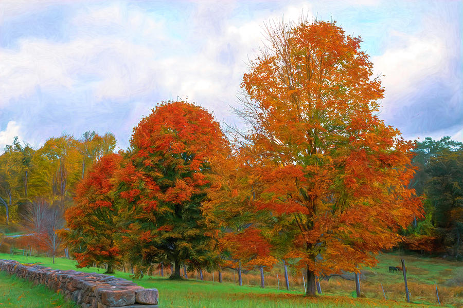 Trees Show Off Their Brilliant Fall Foliage 2 Photograph by Lindsay Thomson