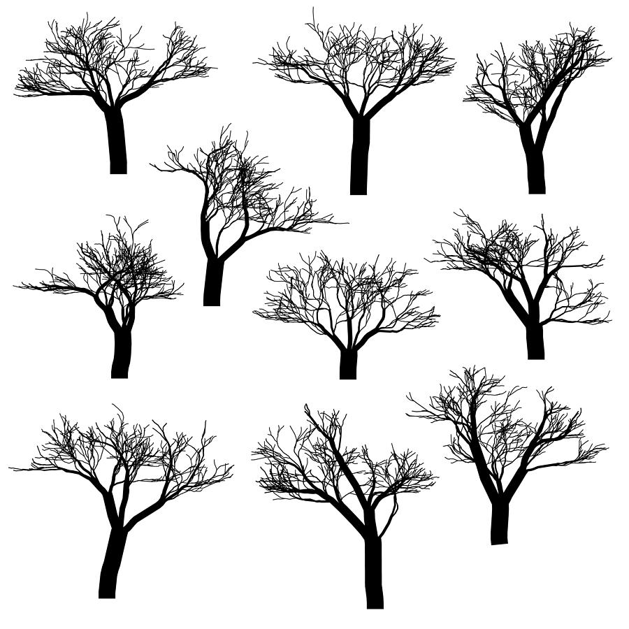 Trees silhouettes Drawing by Calvindexter