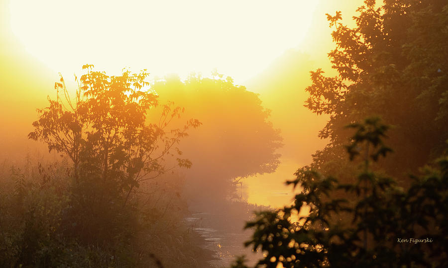Trees Sunrise Fog Photograph by Ken Figurski
