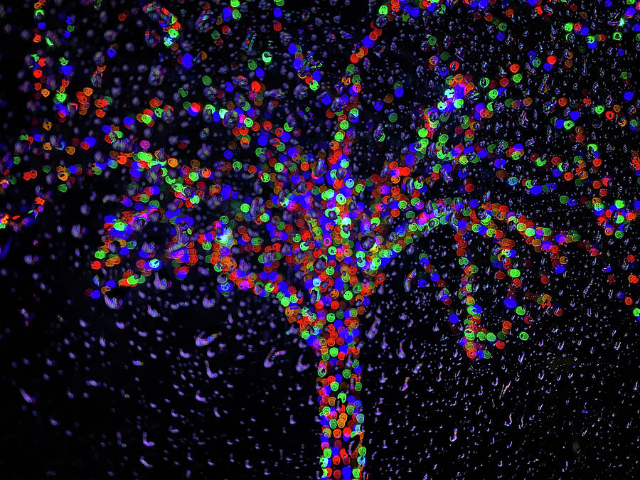 Trees Through Rain Drops, Jekyll Island, Georgia 3 by Dawna Roaming Near and Far Trees Through Rain Drops, Jekyll Island, Georgia 3 by Dawna Roaming Near and Far