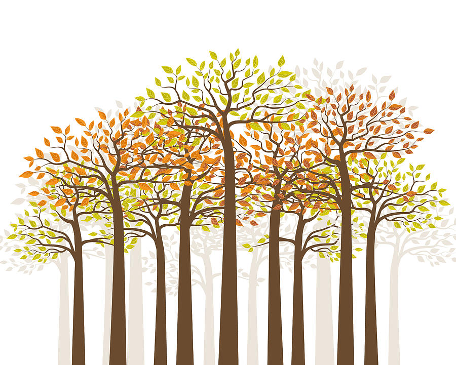 drawings of trees with leaves colored