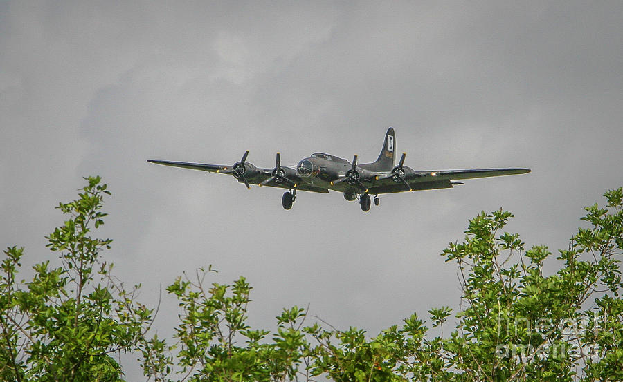 Treetop B-17 Bomber Photograph by Tom Claud