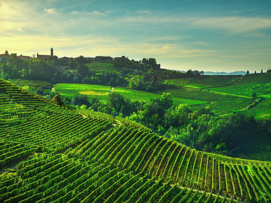 Treiso Village and Langhe Vineyards Photograph by Stefano Orazzini