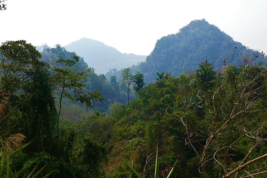 Trekking through jungle, Laos Photograph by Robert Bociaga