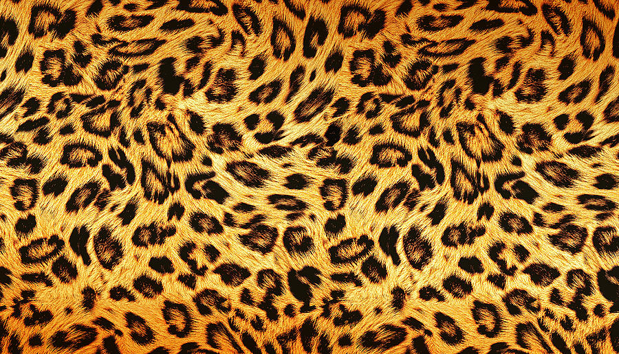 Trendy Leopard Skin Design Pattern. Drawing
