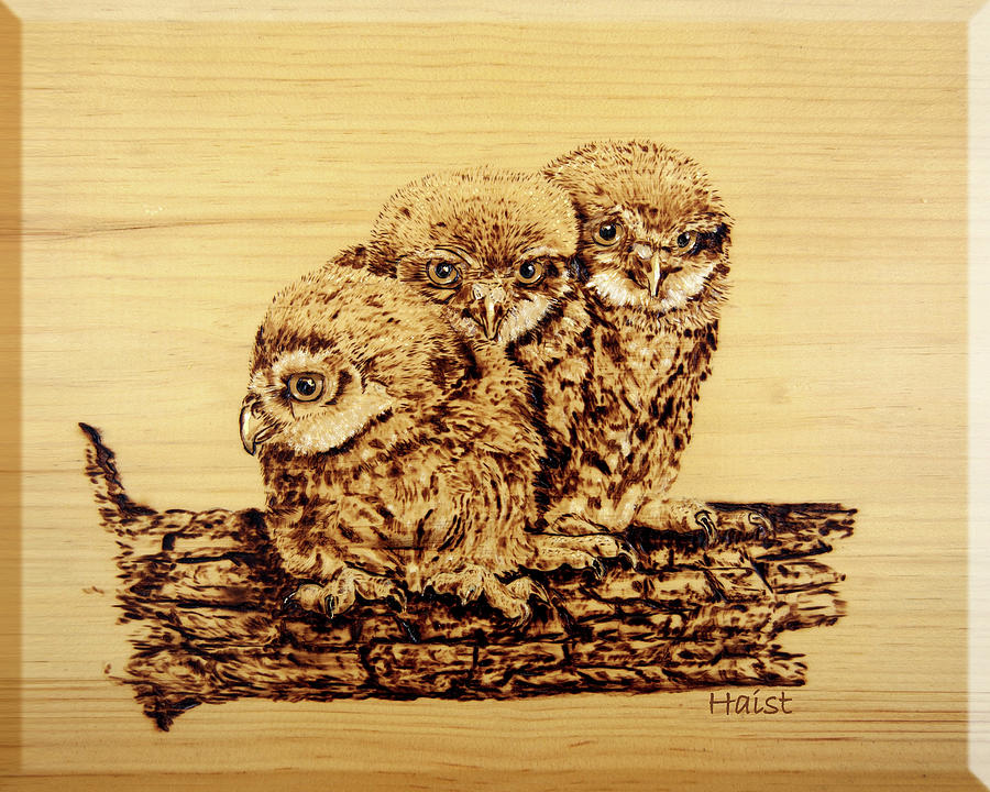 Tres Amigos Pyrography by Ron Haist