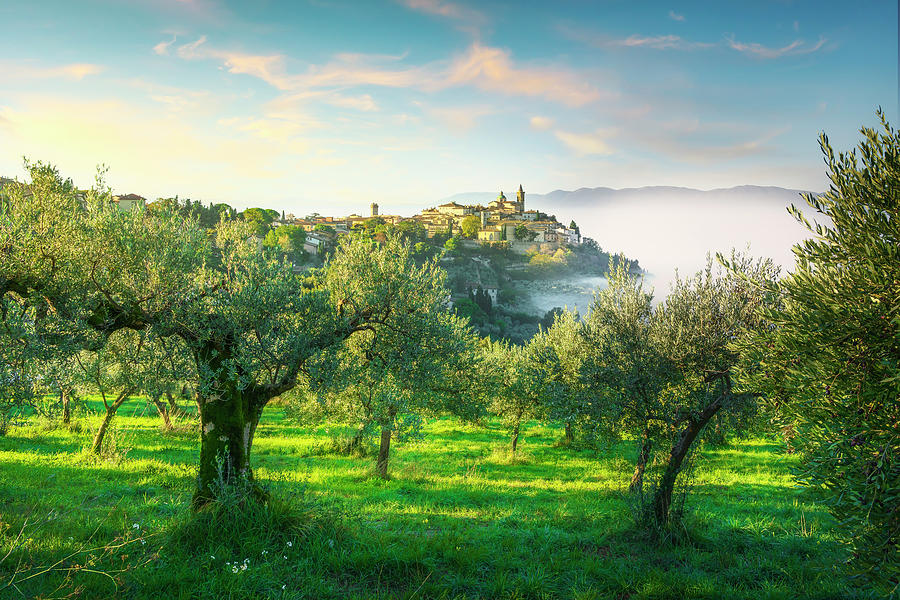 Trevi village and olive trees in a foggy morning. Umbria, Italy Photograph by Stefano Orazzini