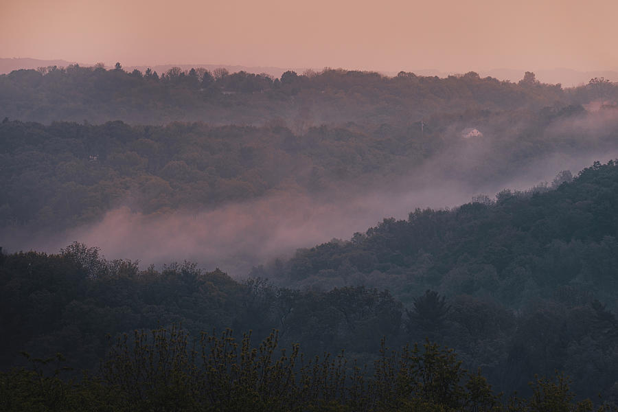 Trexler Nature Preserve - Dusky Fog Photograph by Jason Fink