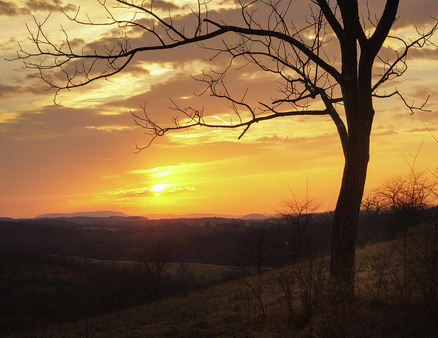 Trexler Nature Preserve Early March Sunset Photograph by Jason Fink