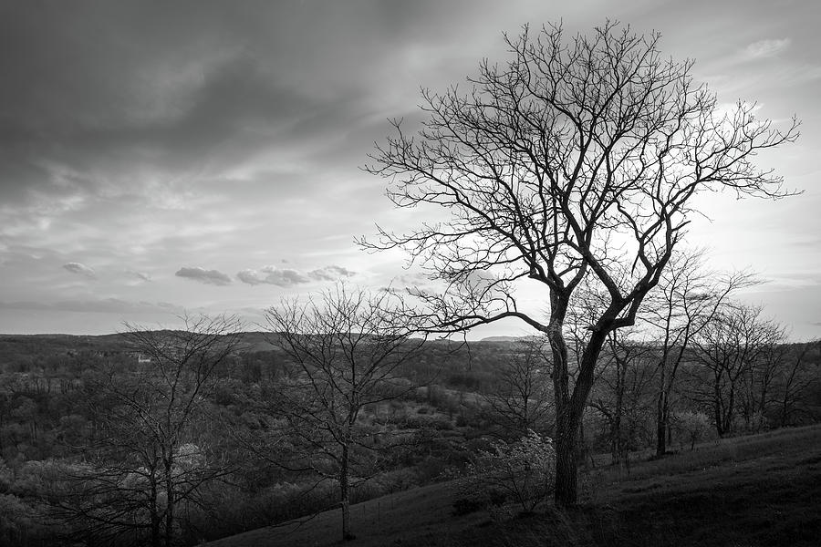 Trexler Nature Preserve Early Spring Vista Black and White Photograph by Jason Fink