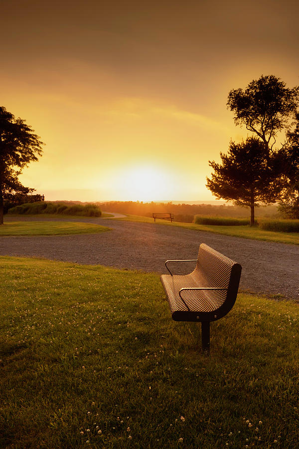 Trexler Nature Preserve Empty Bench Sunset Photograph by Jason Fink