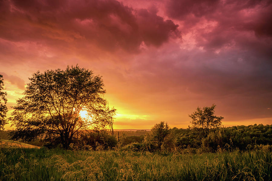 Trexler Nature Preserve May Sunset 2021 Photograph by Jason Fink