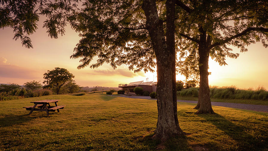 Trexler Nature Preserve Picnic by Sunset Photograph by Jason Fink