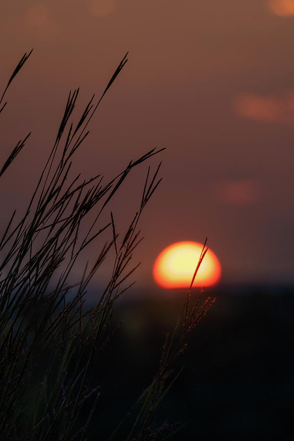 Trexler Nature Preserve Sunset July 31st Series 04 Photograph by Jason Fink