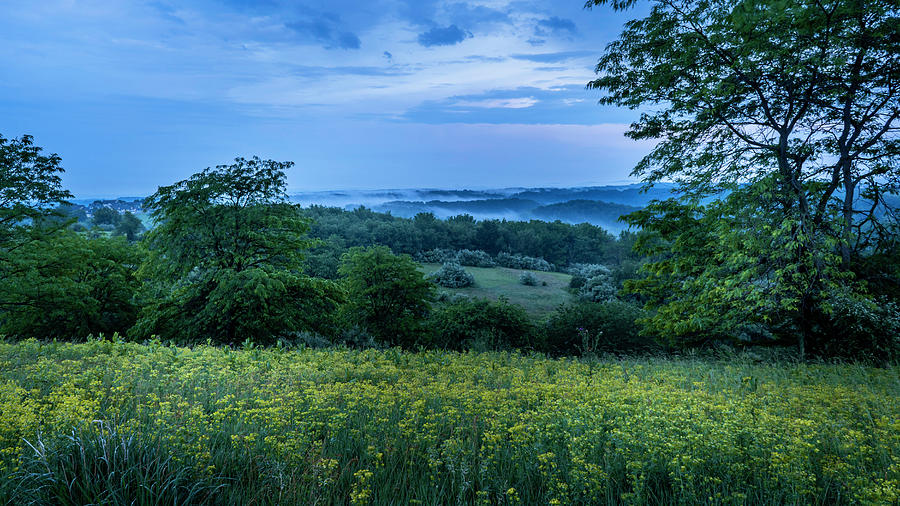 Trexler Nature Preserve Yellow Fields Foggy Valleys Photograph by Jason Fink