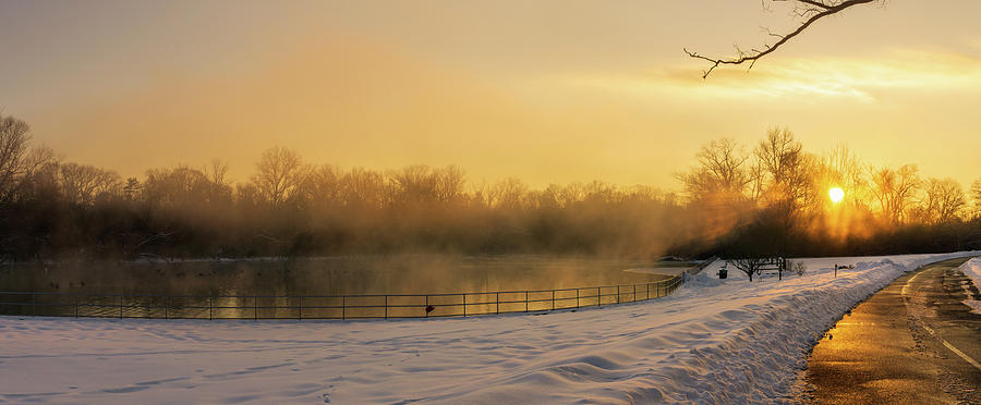 Trexler Park Pond Foggy Winter Sunrise Photograph by Jason Fink