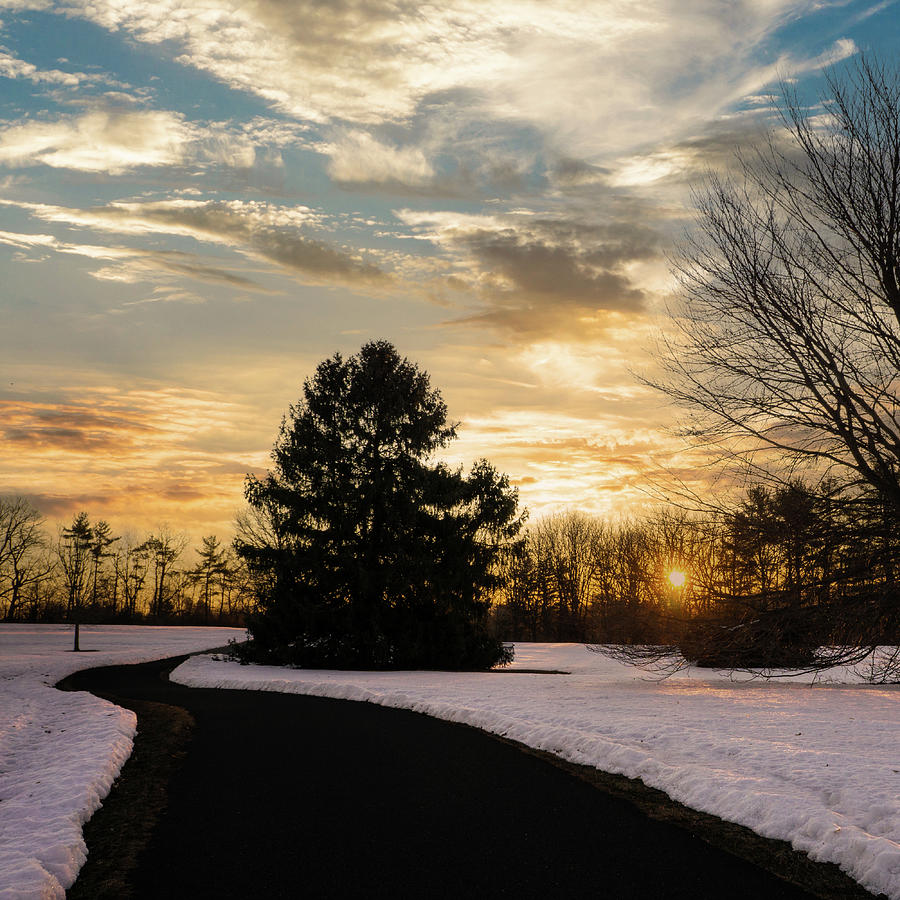 Trexler Park - Upper Paths Winter Sunrise Square Photograph by Jason Fink