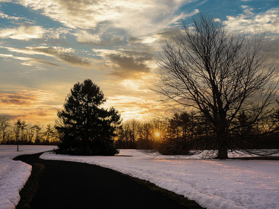 Trexler Park - Upper Paths Winter Sunrise Traditional Photograph by Jason Fink