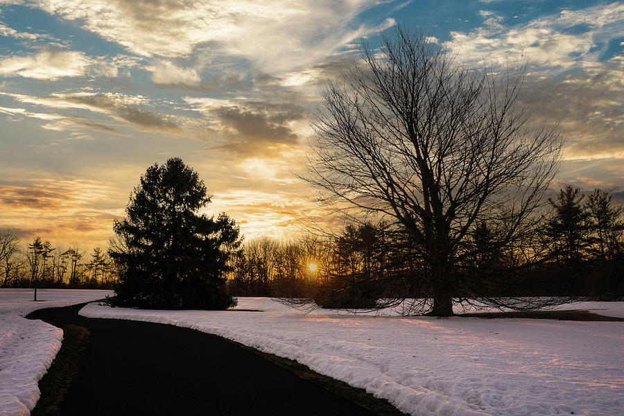 Trexler Park - Upper Paths Winter Sunrise Wide Photograph by Jason Fink
