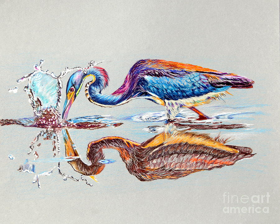 Tri-Colored Heron Painting by Maria Barry