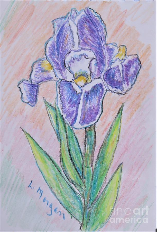 Tri-tone Iris Painting