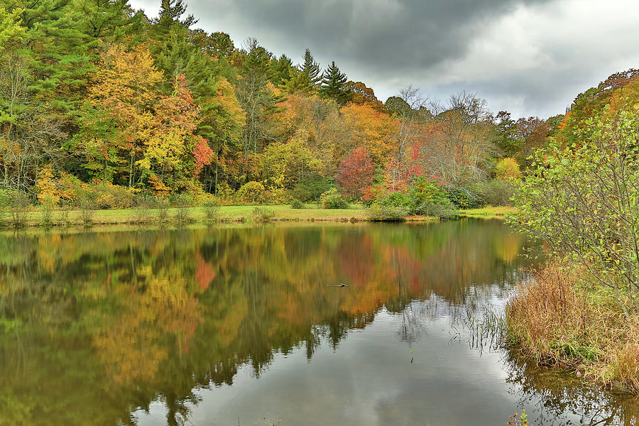 Triangle Lake Photograph by Steve Templeton