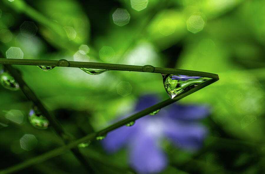 Triangle of Water Photograph by Linda Howes - Fine Art America