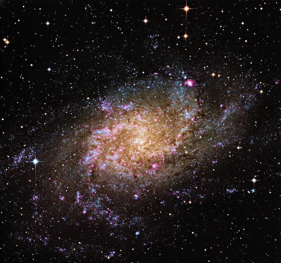Triangulum Galaxy - M33 Photograph