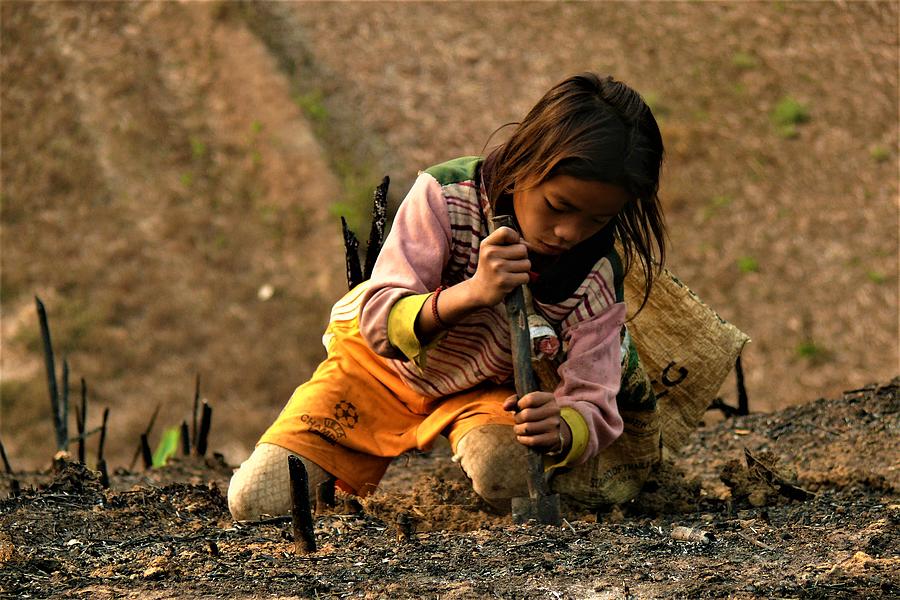 Tribal girl works on the burned field Photograph by Robert Bociaga