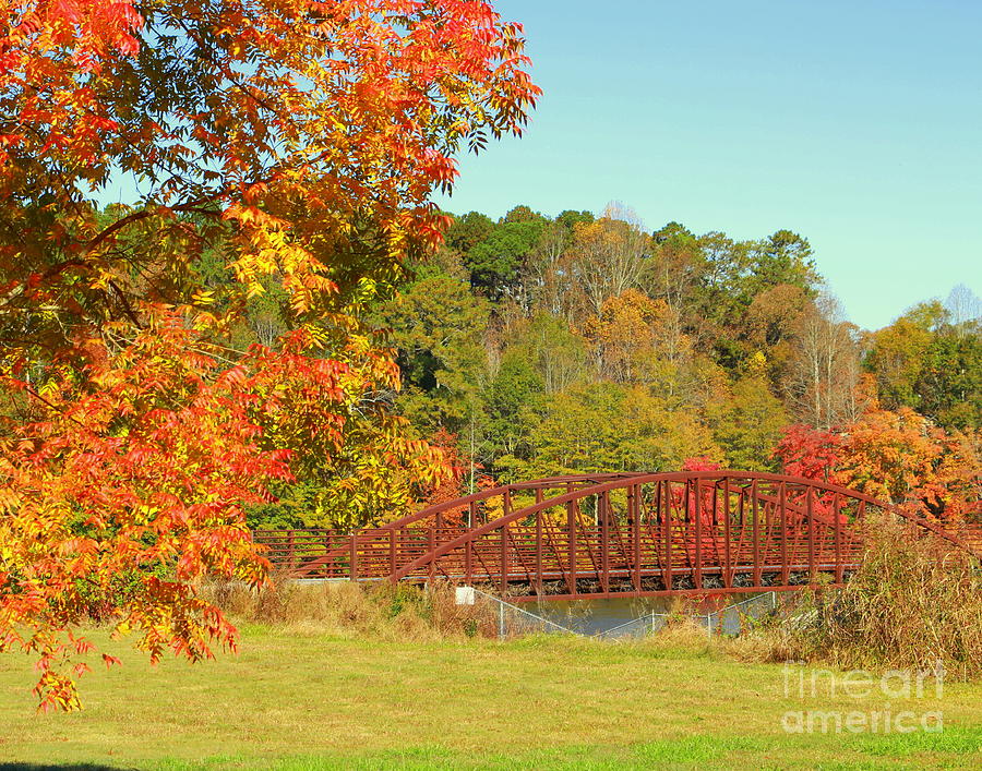 Tribble Mill Lake Lawrenceville GA Photograph by Charlene Cox - Fine ...