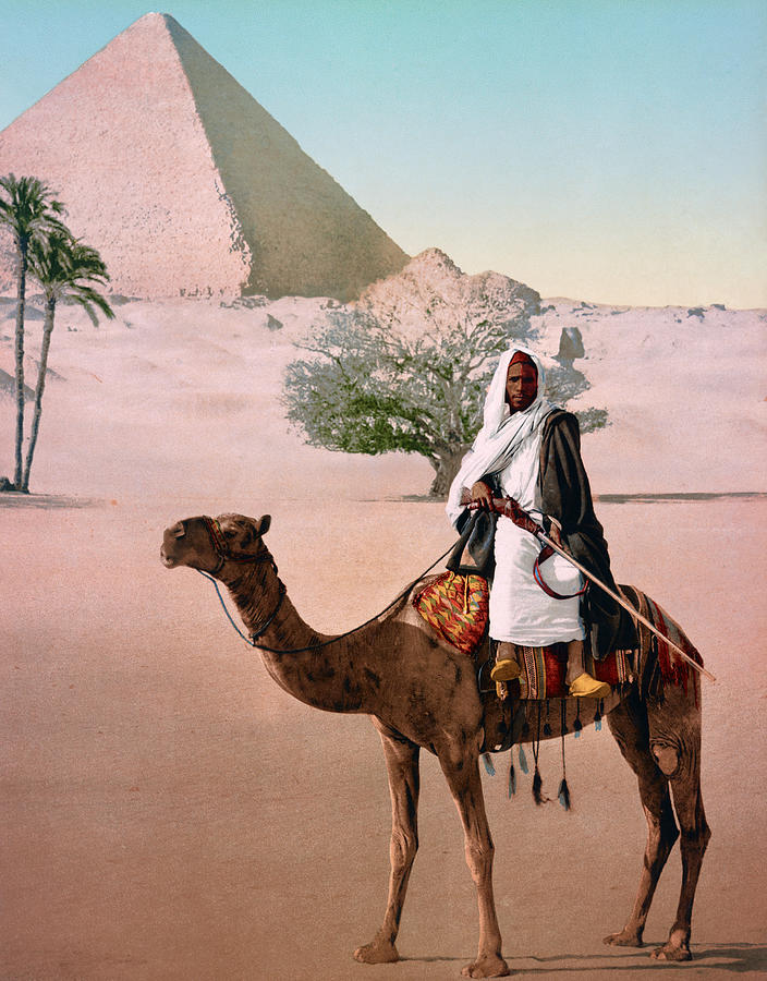 Tribe Member Riding Camel Before The Great Pyramid - Circa 1900 Photograph by War Is Hell Store