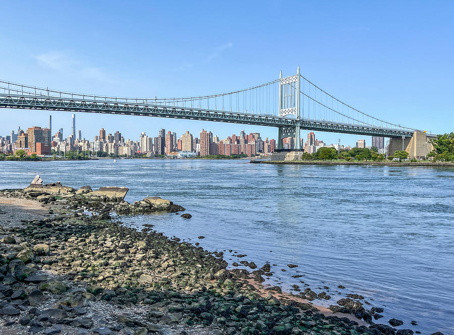 Triboro Bridge at low tide Photograph by Cate Franklyn