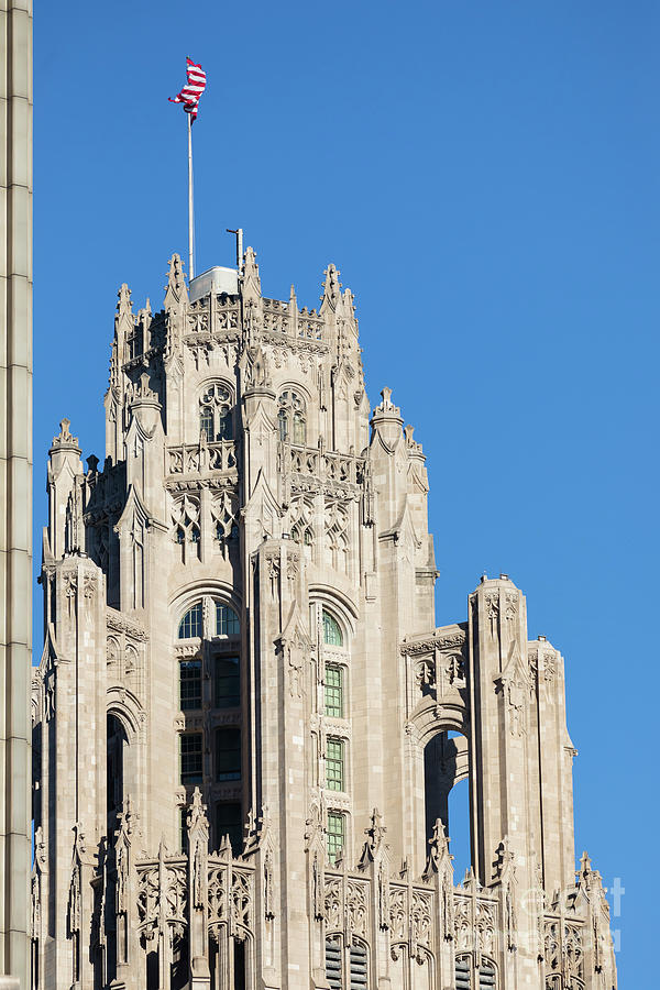 Tribune Tower in Chicago Illinois Photograph by Louise Heusinkveld