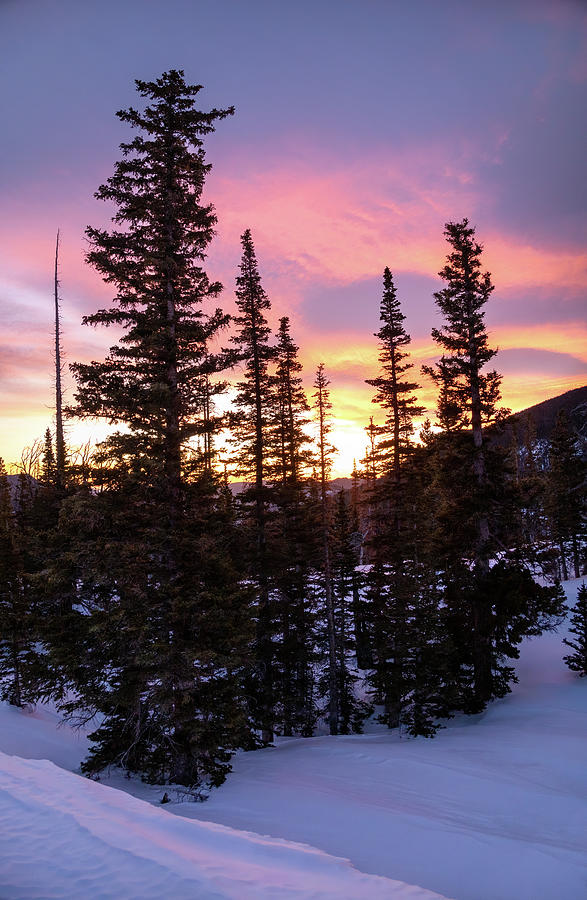 Tribute - Spruce Lake - Rocky Mountain National Park Photograph by ...