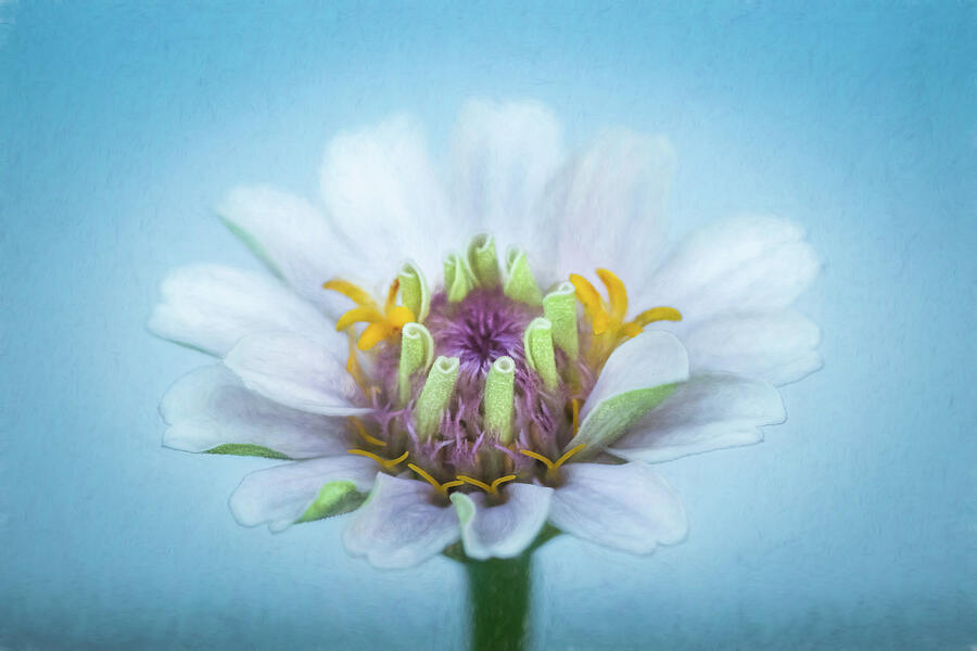 Tribute To A Loved One Photograph by Dodie Ross Tribute To A Loved One Photograph by Dodie Ross
