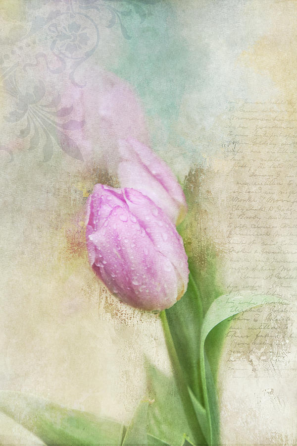 Tribute to Spring Digital Art by Terry Davis
