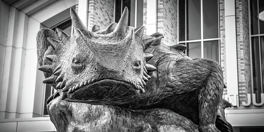 Tribute To The Texas Horned Frogs - Monochrome Panorama Photograph by Gregory Ballos