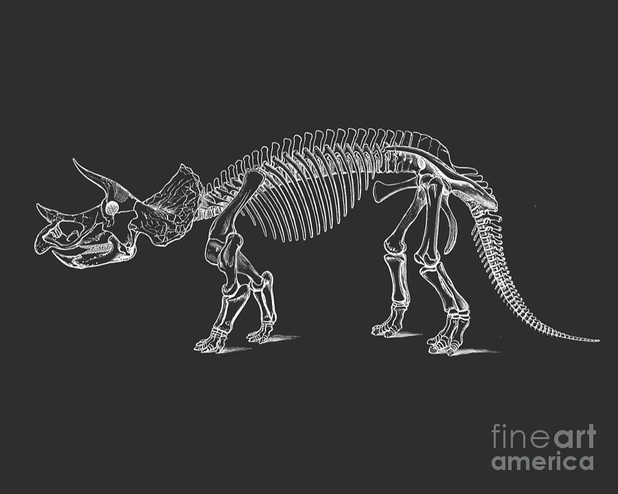 Prehistoric Digital Art - Triceratops bones in black and white by Madame Memento