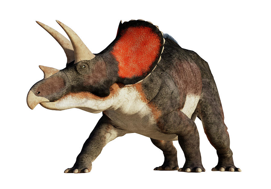 Prehistoric Digital Art - Triceratops by Daniel Eskridge