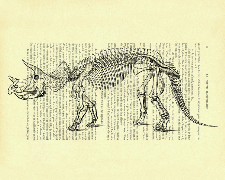 Prehistoric Mixed Media - Triceratops dino skeleton on antique book page by Madame Memento