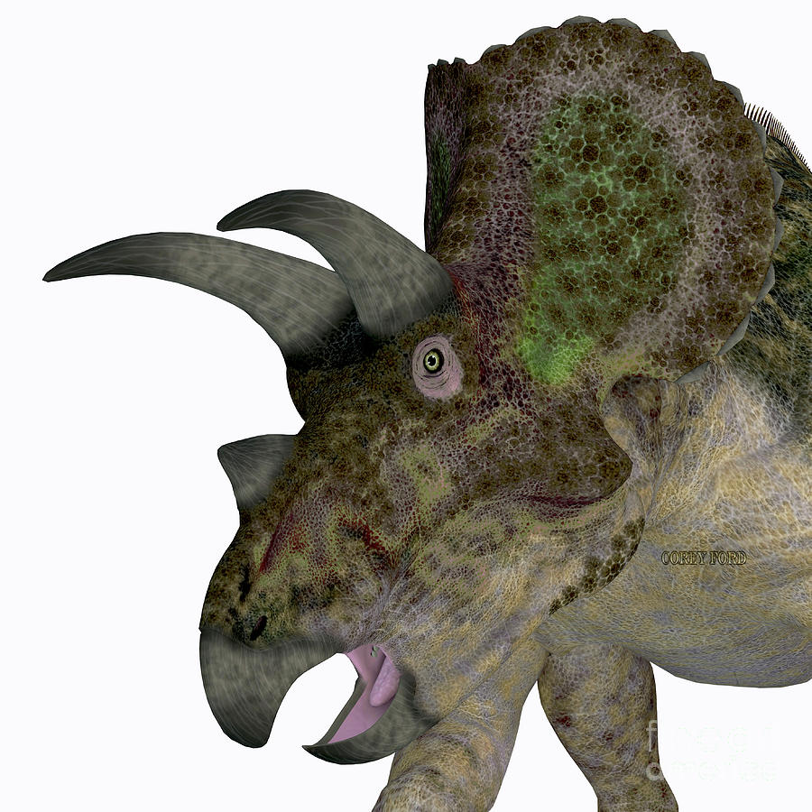 Triceratops Dinosaur Head Digital Art by Corey Ford Fine Art America