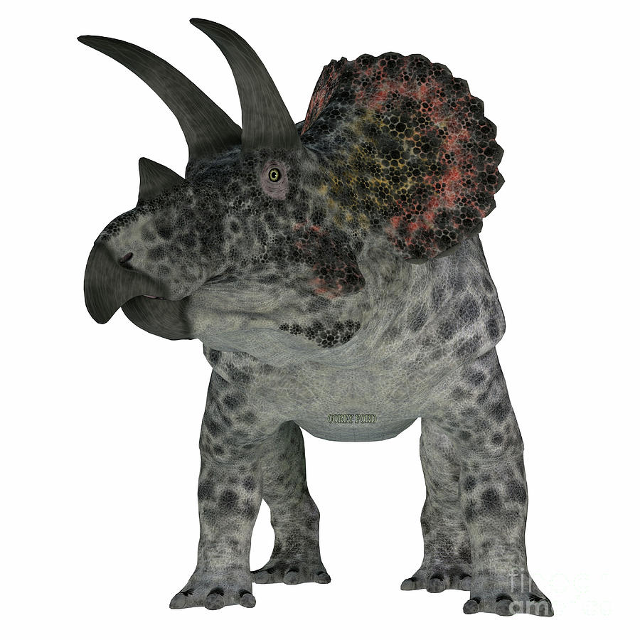 Triceratops Dinosaur on White Digital Art by Corey Ford