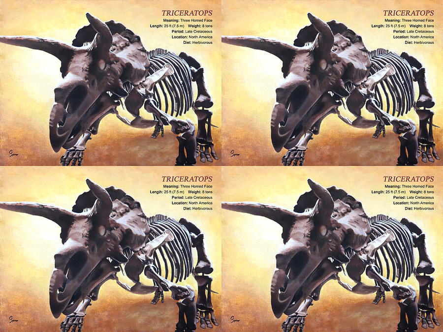 Triceratops Skeleton with Text - Quad Painting by Christopher Spicer