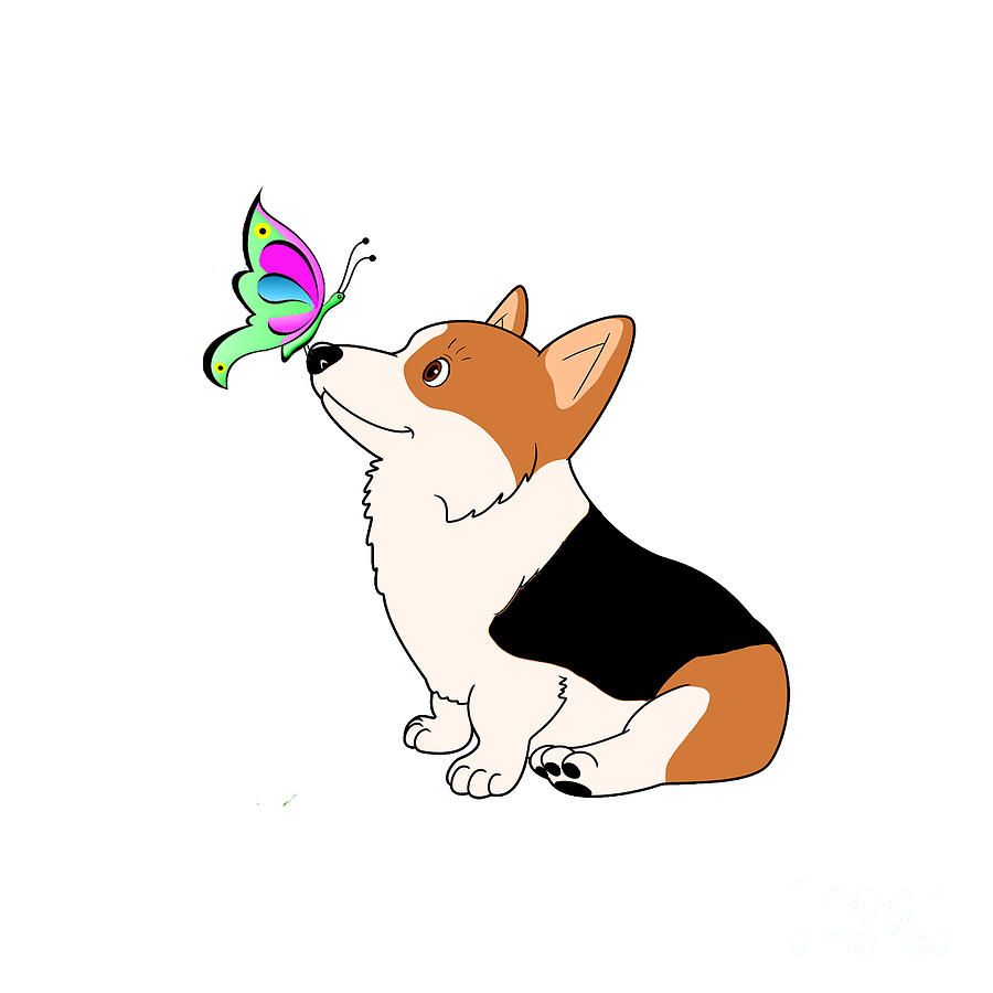 Tricolor Corgi with Butterfly Digital Art by Kathy Kelly