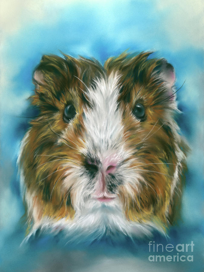 Tricolor Guinea Pig on Blue Painting by MM Anderson