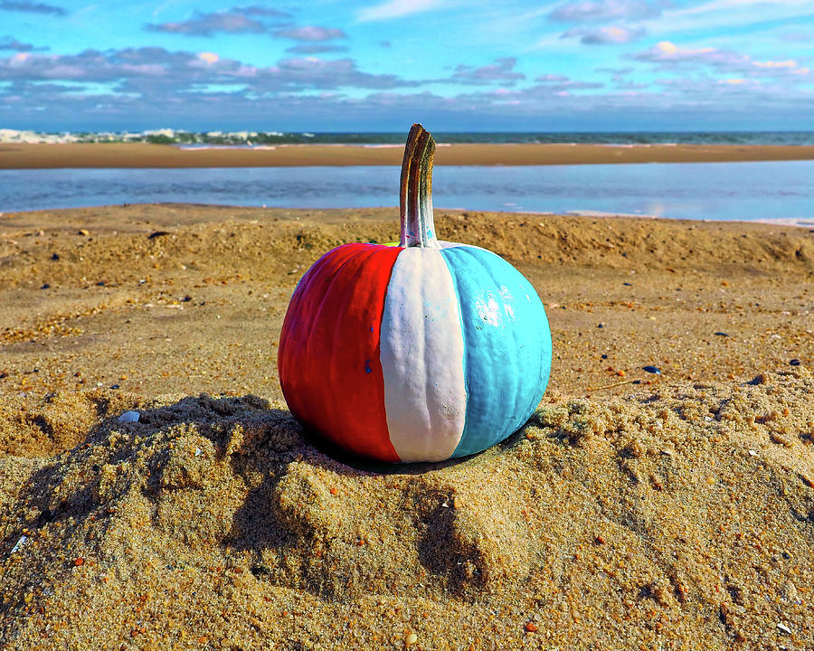 Tricolor Pumpkin on the Beach Photograph by Bill Swartwout