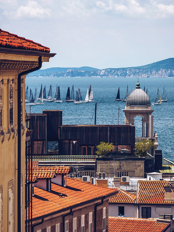 Trieste - Sailing Regatta in the Adriatic Sea Photograph by Alexander Voss