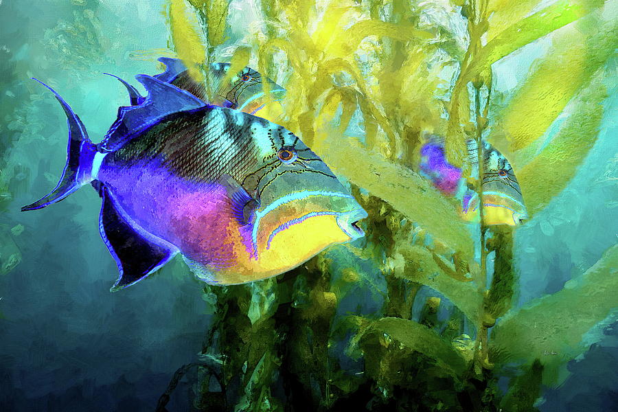 Trigger Fish Digital Art