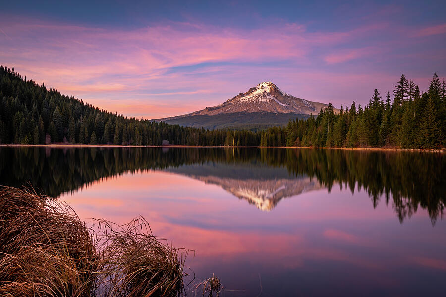 Trilliam Lake Oregon Photograph by Matthew Alberts - Fine Art America