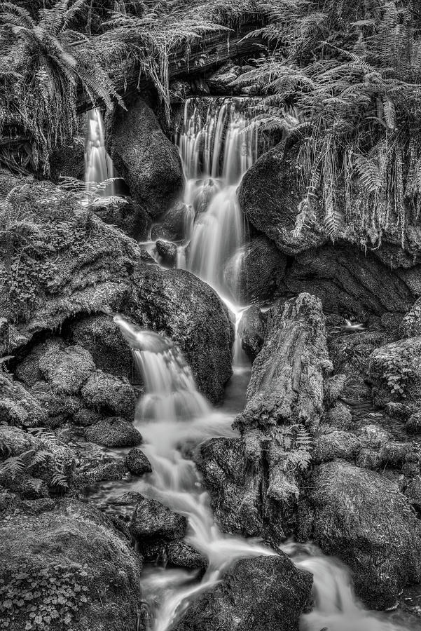 Trillium Falls Monochrome Photograph by George Buxbaum